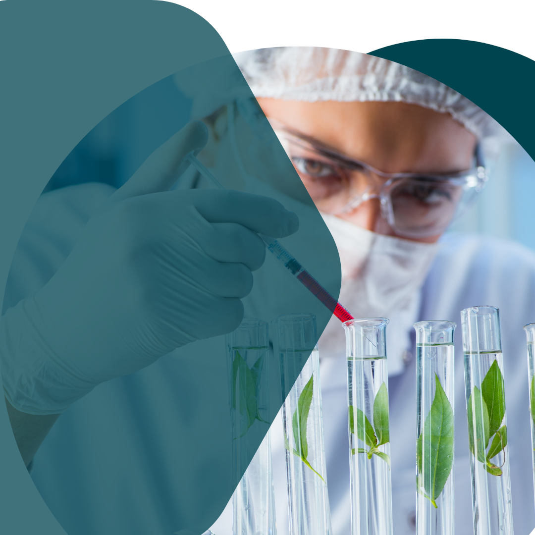 Compounding pharmacy Toronto